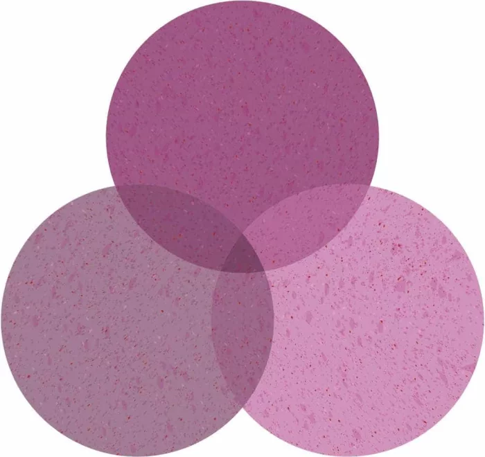 Venn diagram of overlapping semi-transparent purple circles.
